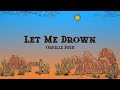 Orville Peck - Let Me Drown (Lyrics)