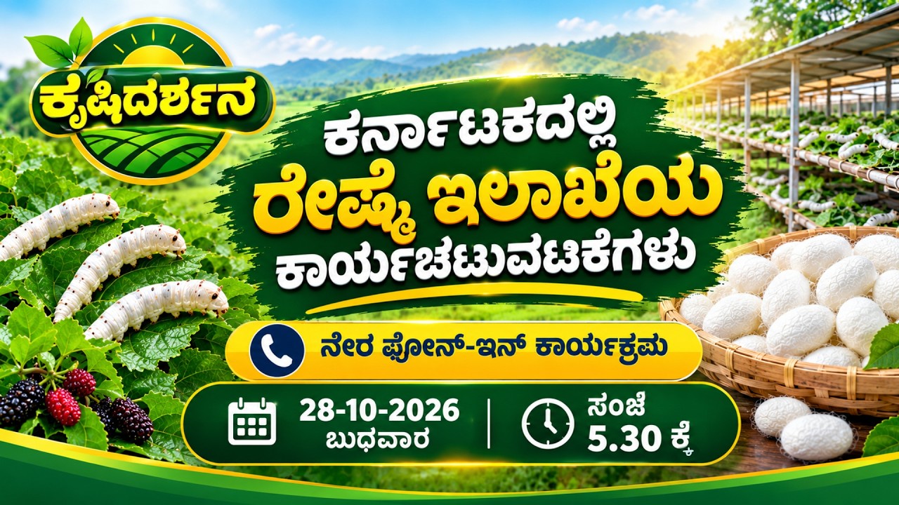 KrishiDarshan | LIVE | “ಕರ್ನಾಟಕದಲ್ಲಿ ರೇಷ್ಮೆ ಇಲಾಖೆಯ ಕಾರ್ಯಚಟುವಟಿಕೆಗಳು” | 28.10.2026 |5.30PM|DDChandana