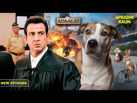 कैसे सुलझाया KD Pathak ने कुत्ते से जुड़ा रहस्यमय Case | Adaalat | Thriller | New Full Episode