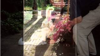 "Theme for Ernie" by Tommy Jones