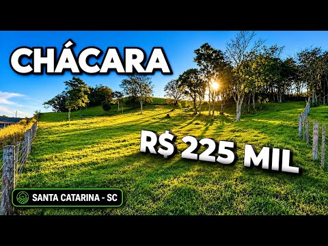 CHÁCARA À VENDA DE 20.000 METROS EM SANTA CATARINA R$225MIL 