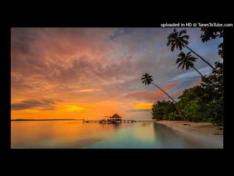 Satellite Watching Silent Waves By Your Side - Jonas Steur vs Thrillseekers vs Oceanlab vs Cosmicman