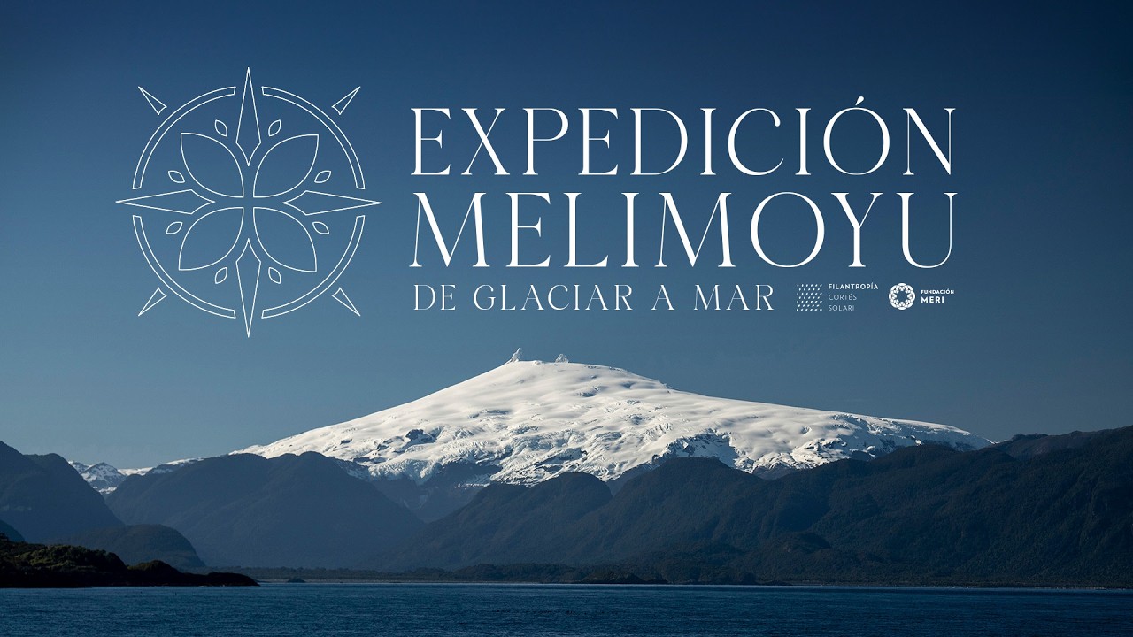 Video Fondo Marino 2026