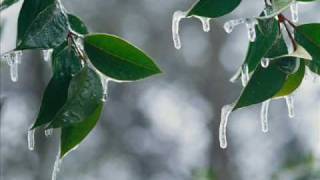 Enya - Amid The Falling Snow