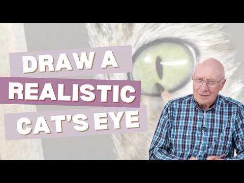 How to Draw a Realistic Cat Eye Step by Step