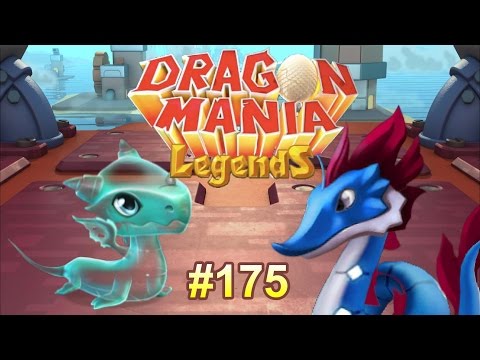 WHAT DO YOU WANT TO SEE? (Multiplayer + Dungeon Fights) - Dragon Mania Legends #175