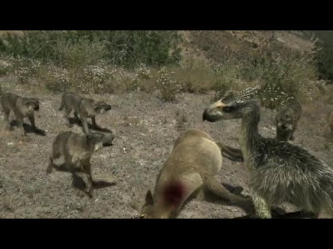 Wolves vs Terror Bird | Prehistoric Predators Episode 5