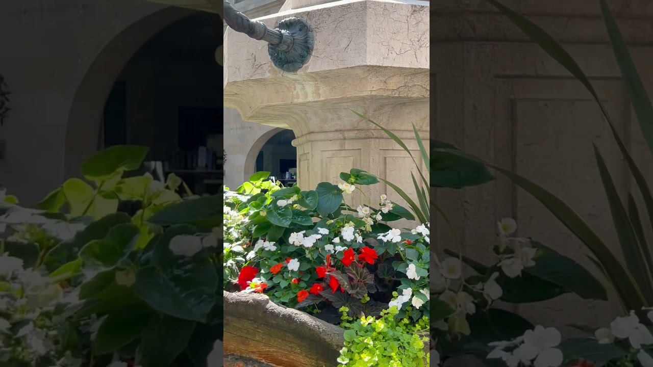 YouTube Short thumbnail