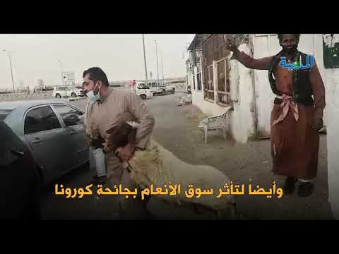 سوق العزيزية للأغنام بالرياض إقبال محدود وأسعار منخفضة المدينة