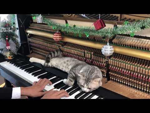 A écouter en préparant Tartiflette Berrichonne