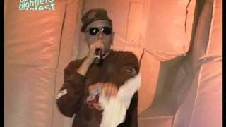 Beginner - Rock On (Live@Chiemsee_Reggae_Summer_2004)