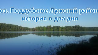 Озеро поддубское лужский район рыбалка