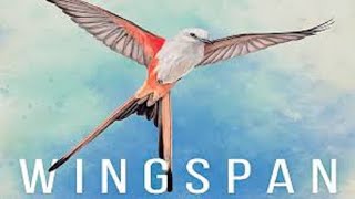 Wingspan: Discussion