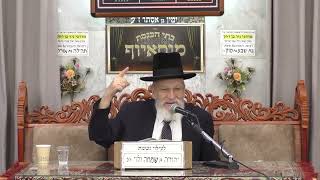 הרב שלמה בויאר | פרשה ואקטואליה | בית הכנסת מוסאיוף (בית הכנסת מוסאיוף) - התמונה מוצגת ישירות מתוך אתר האינטרנט יוטיוב. זכויות היוצרים בתמונה שייכות ליוצרה. קישור קרדיט למקור התוכן נמצא בתוך דף הסרטון