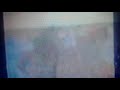 Beaches American Greetings McDonald S New Balance We Fix Kids Earth Best Cpb Viewers Like You