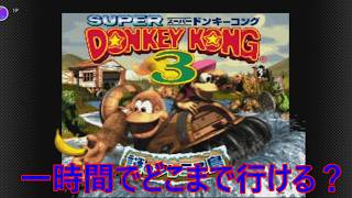 一時間でクリアできる？スーパードンキーコング3やる【ライスゲームズ】 #ゲーム実況  #ゲーム
