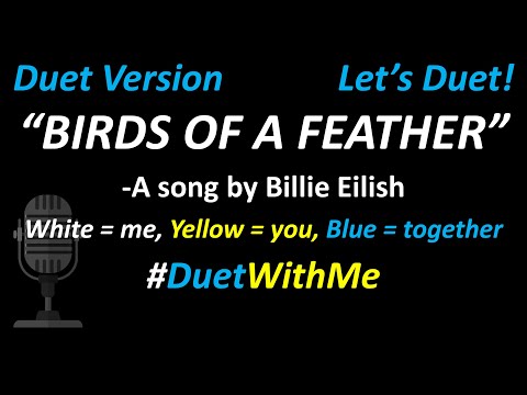 Billie Eilish - BIRDS OF A FEATHER (Duet Version) | Cover | Full Version