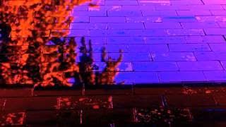 Laetitia Sadier - "Between Earth and Heaven"