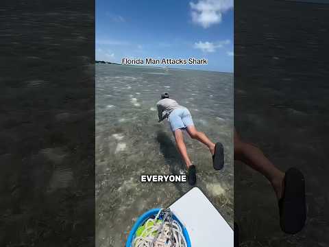 Catching A Shark With Bare Hand
