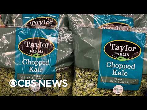 What to know about the cyclosporiasis outbreak as Taylor Farms pulls iceberg lettuce