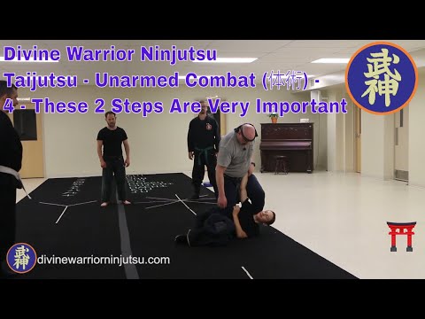 4 - These 2 Steps Are Very Important - Taijutsu - Unarmed Combat (体術)