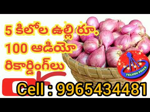5 కిలోల ఉల్లి రూ. 100 ఆడియో రికార్డింగ్‌లు onion 5 kg ₹.100 only audio voice telugu business voice