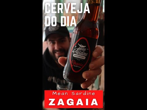 Cerveja do Dia Mean Sardine Zagaia Belgian Dubbel #shorts