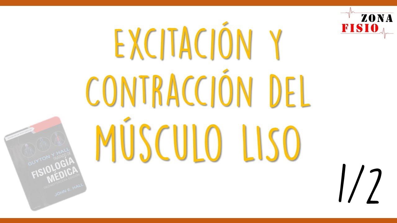 FISIOLOGÍA: EXCITACIÓN Y CONTRACCIÓN DEL MÚSCULO LISO | ENTENDIENDO GUYTON CAPÍTULO 8 | PARTE 1/2