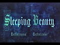Opening To Sleeping Beauty 1986 VHS
