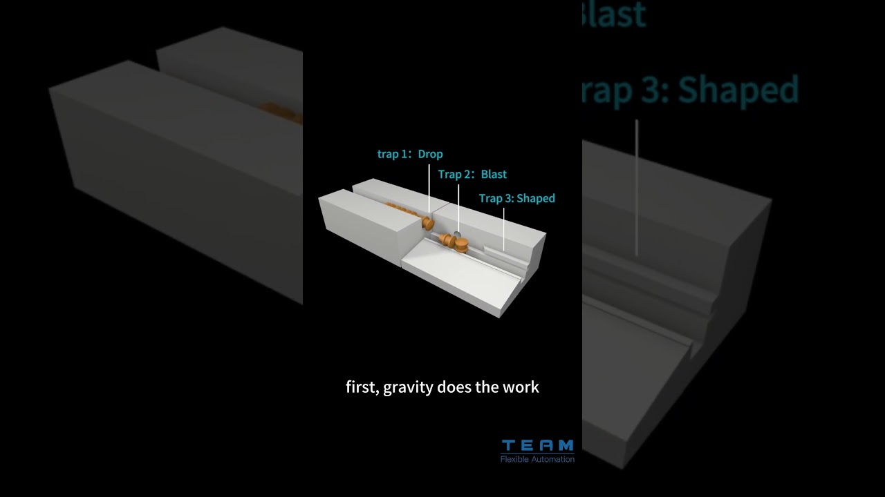 Bowl Feeding: The Hunter and Trap Game！
