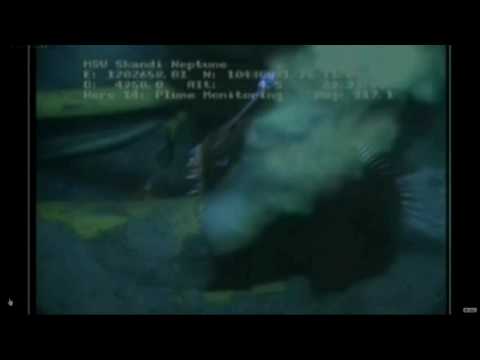 Music Video - BP Oil Spill - 