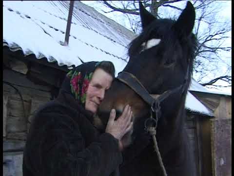 Apie apsireiškimus. Dokumentinis filmas