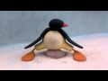 Pingu - Pingu Helps With İncubating