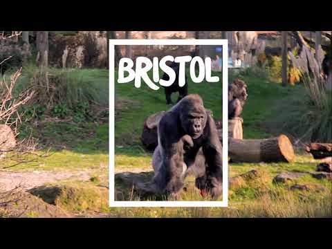 Visit Bristol: Guide to 2019