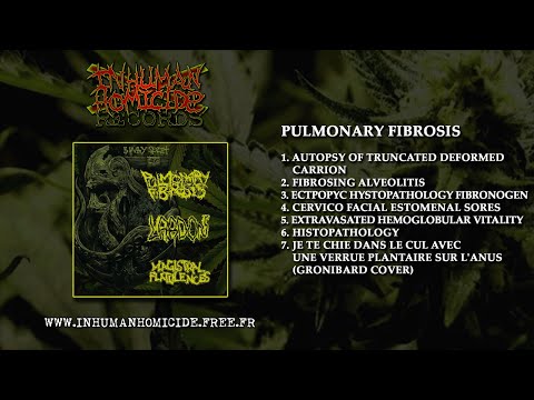 PULMONARY FIBROSIS + MAGISTRAL FLATULENCES + L.A.R.D.O.N. split FULL ALBUM (2017 - Goregrind)