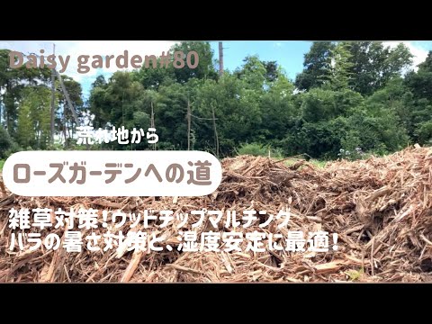 バラの根元に雑草対策として何を置くか？  庭園