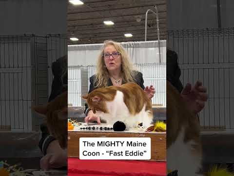 #pov #youtube #fyp #fypシ #funny #foryoupageofficiall