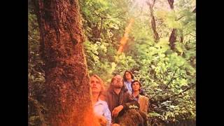 Douglas Fir - I Didn't Try