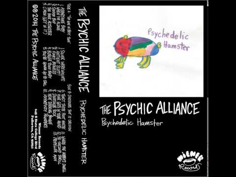 The Psychic Alliance - Propeller Man