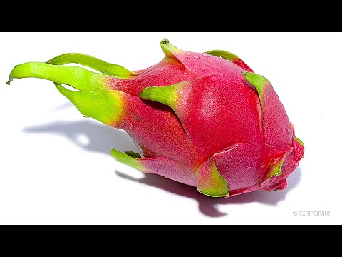 Time-Lapse Dragon Fruit