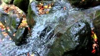 preview picture of video '[ZR-850]都立芝公園  もみじの滝[30-120fps] -Maple Waterfall in Shiba Park-'