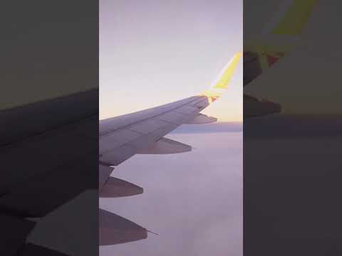 Вид с самолёта под kirarits - я так соскучился (cover на Порнофильмы) #shorts
