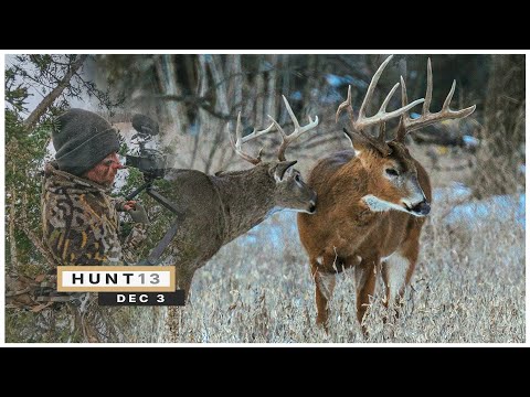 The Most Aggressive (AND COLD!) Hunt of the Season