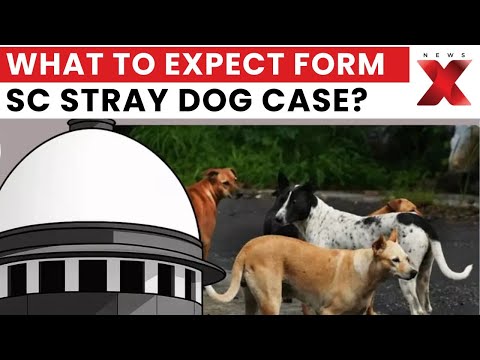 Supreme Court Hears Arguments on Stray Dog Issue, Hearing Continues Jan 20 | NewsX