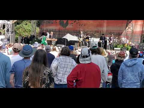 Chuck Prophet and the Mission Express HS Bluegrass 2023! High As Johnny Thunders