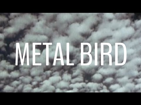 Metal Bird