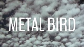 Marie Hines: Metal Bird Official Video
