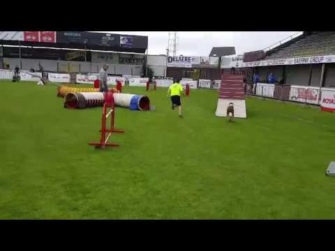 Itch Vast parcours - FED Ingelmunster 14/05/2017