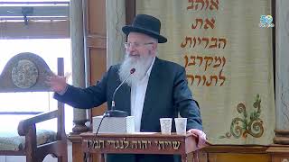 | הרב שמואל אליהו | שאלות ותשובות בענייני חג הפסח | מכון מאיר (הרב שמואל אליהו) - התמונה מוצגת ישירות מתוך אתר האינטרנט יוטיוב. זכויות היוצרים בתמונה שייכות ליוצרה. קישור קרדיט למקור התוכן נמצא בתוך דף הסרטון