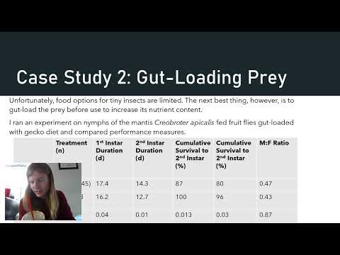 A Consideration of Insect Husbandry